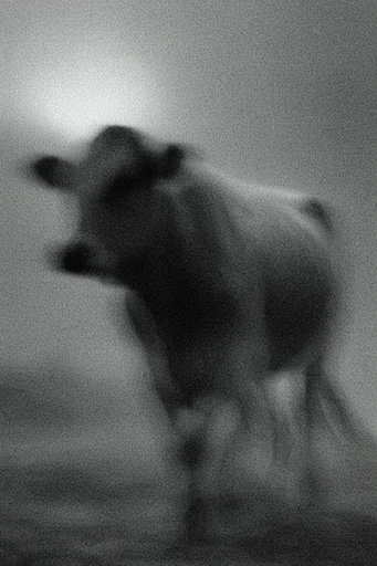 Ethereal Monochrome Noir style AI image example 3