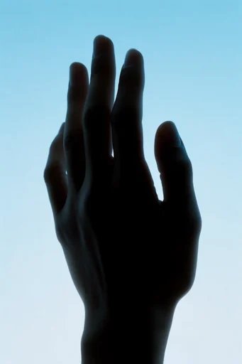 Minimalist Noir Silhouette style reference image — cool blue rim light