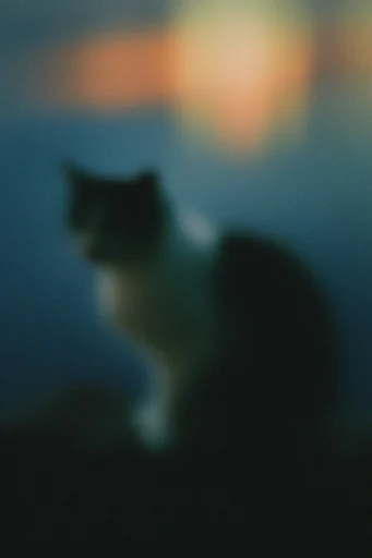 Dreamy Nocturnal Blur style reference image — cool blue and warm amber palette
