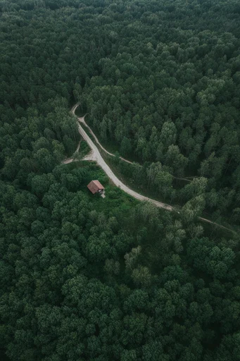 Aerial Verdant Solitude style reference image — minimalist composition
