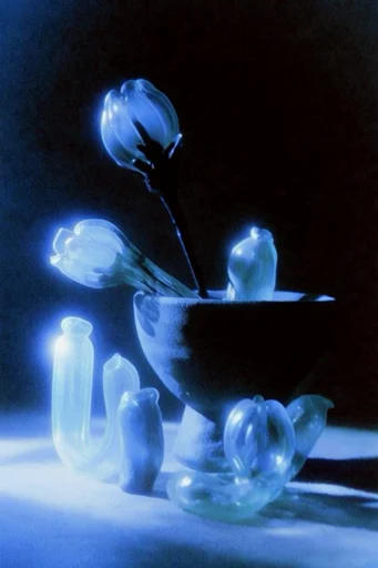Ethereal Bioluminescent Nocturne style reference image — electric cyan aura