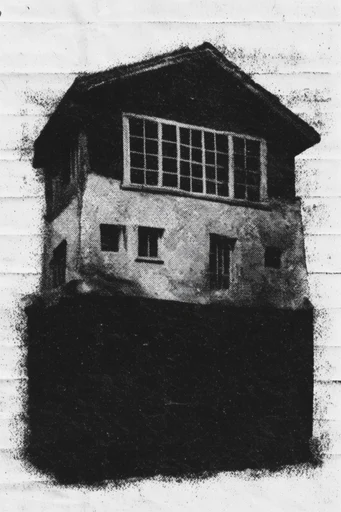 Raw Monochromatic Distorted Noir style reference image — harsh chiaroscuro