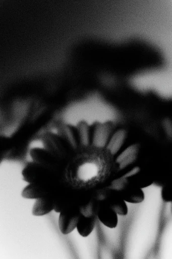 Ethereal Noir Granulation style reference image — ethereal motion blur
