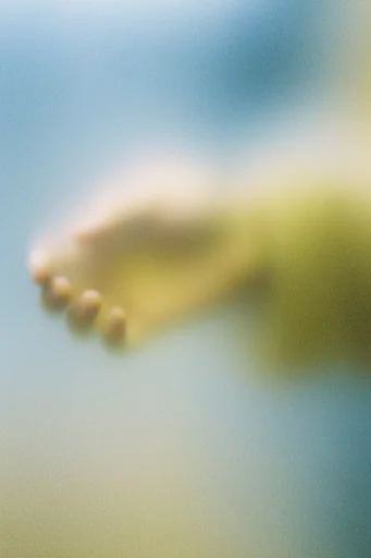 Ethereal Pastoral Impressionism style reference image — heavy film grain