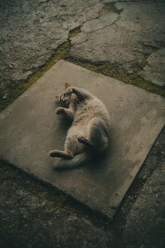 Cinematic Overhead Realism style reference image — weathered surface textures