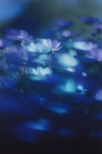 Ethereal Nocturnal Kinematics style reference image — cinematic nocturnal mood