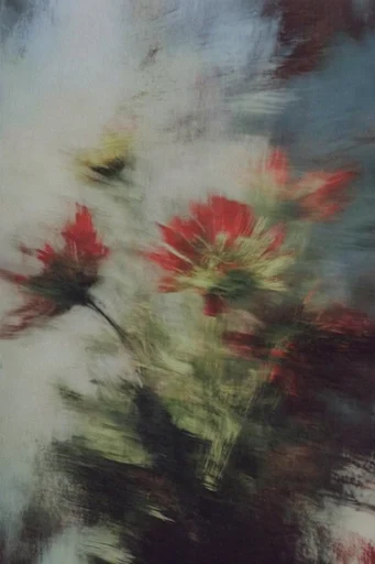 Ethereal Motion Impressionism style reference image — dreamlike haze