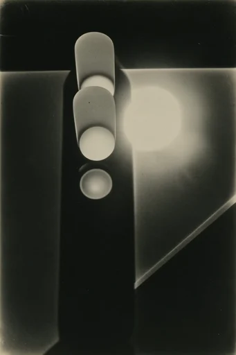 Avant-Garde Darkroom Surrealism style reference image — high contrast monochrome