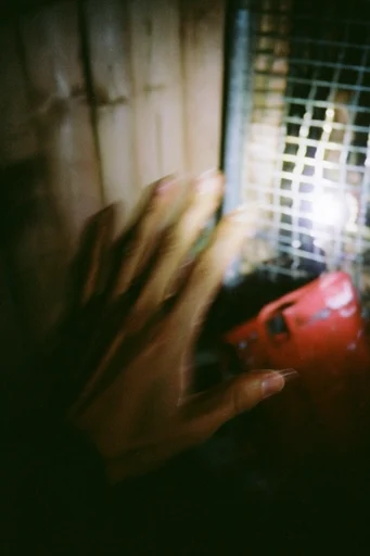 Cinematic Nocturnal Blur style reference image — analog film grain