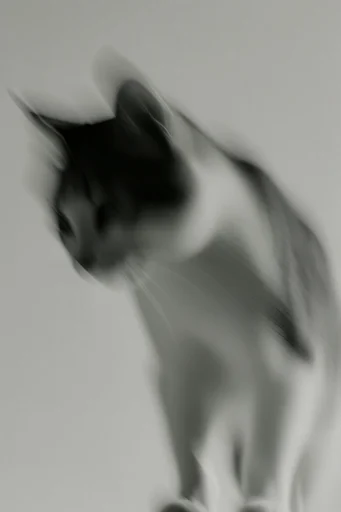 Ethereal Kinetic Monochrome style reference image — minimalist composition