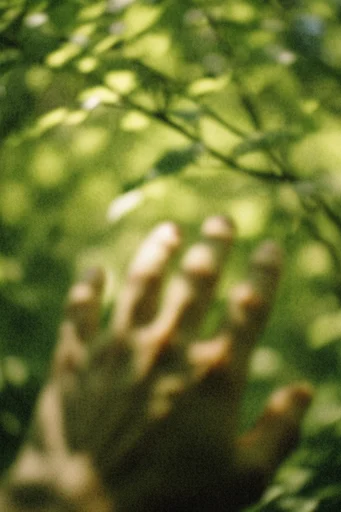 Ethereal Impressionist Motion style reference image — dreamy impressionism