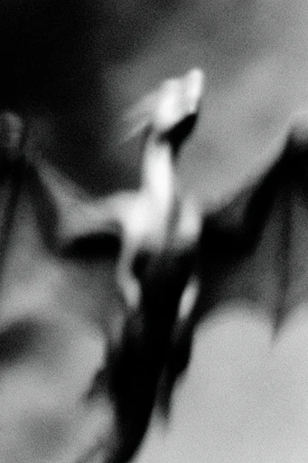 Kinetic Noir Abstraction style reference image — chiaroscuro lighting