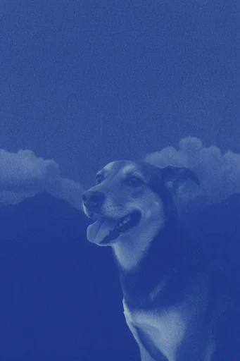 Nocturnal Cyanotype Dreamscape style reference image — halftone and stippling