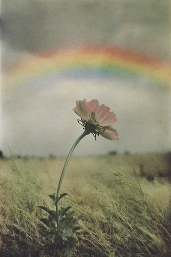 Nostalgic Spectral Surrealism style reference image — nostalgic melancholy