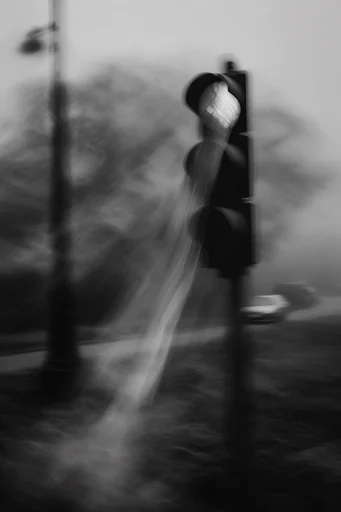 Spectral Kinetic Monochrome style reference image — ethereal motion blur