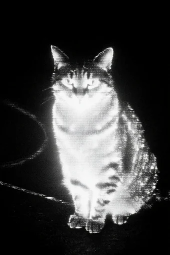 Analog Signal Decay style reference image — liminal void