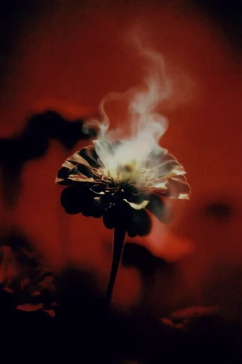 Crimson Spectral Noir style reference image — long exposure light trails