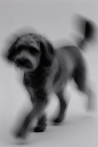 Ethereal Kinetic Motion style reference image — diffused soft lighting