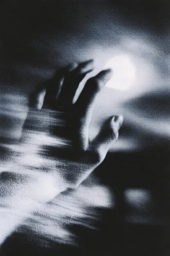 Nocturnal Monochrome Noir style reference image — heavy film grain