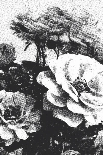 Gritty Noir Photocollage style reference image — torn paper collage