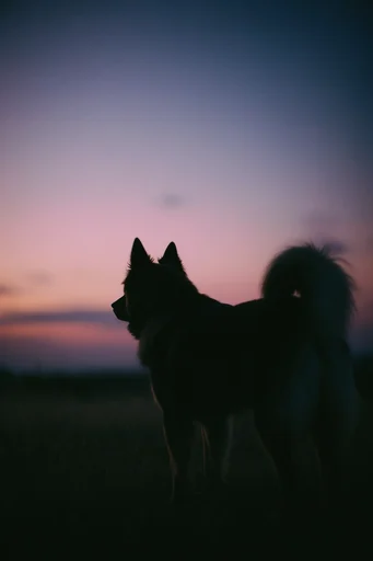 Cinematic Twilight Melancholy style reference image — solitary figure