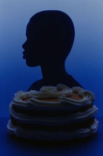Nocturnal Liquid Silhouette style reference image — retro-futuristic portraiture