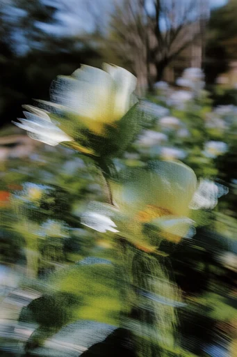 Kinetic Analog Abstraction style reference image — experimental texture