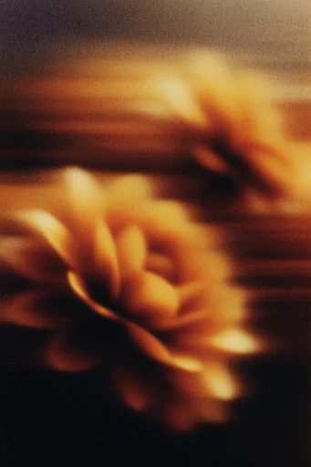 Spectral Amber Pictorialism style reference image — slitscan distortion