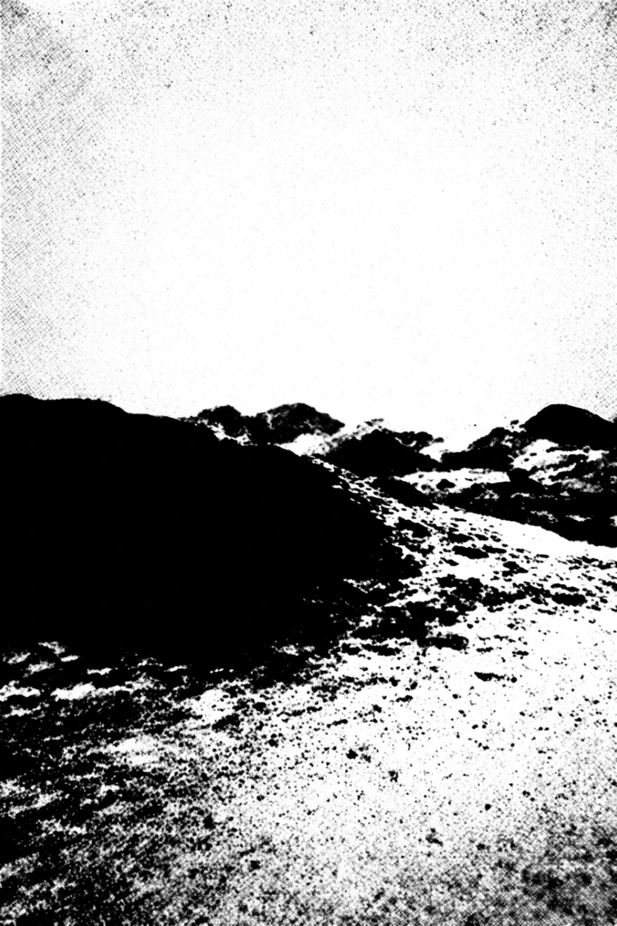 Gritty Monochromatic Zine style AI image example 2