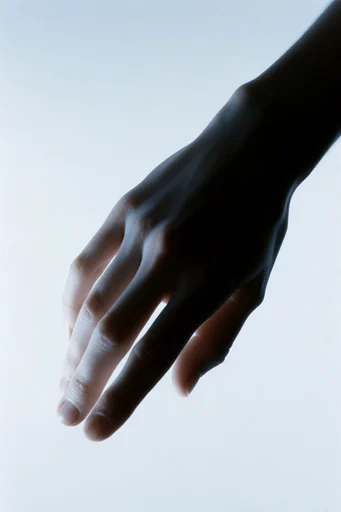 Monochromatic Sculptural Minimalism style reference image — monochromatic fine-art photography