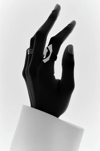 Avant-Garde Noir Editorial style reference image — avant-garde sculptural tailoring