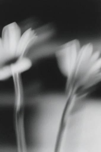 Monochrome Spectral Noir style reference image — soft-focus distortion