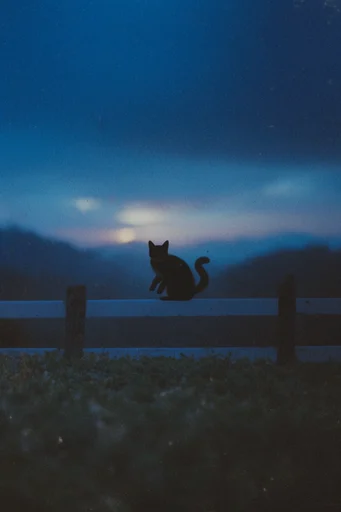 Cinematic Twilight Melancholy style reference image — soft airbrush texture