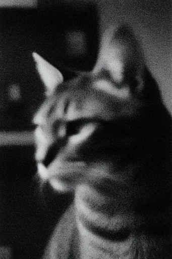 Gritty Chiaroscuro Noir style reference image — spectral blur