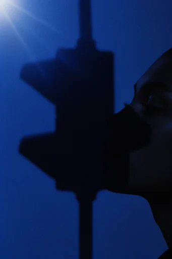 Nocturnal Liquid Silhouette style reference image — liquid light distortion