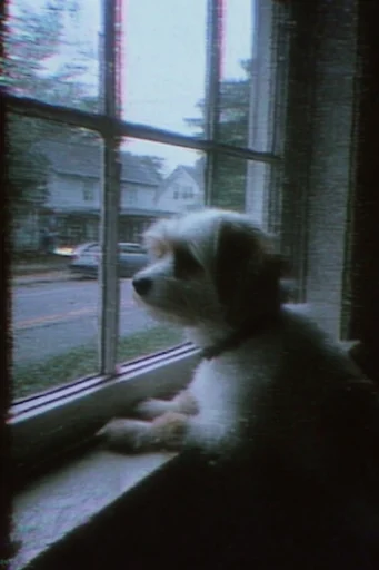 Analog Glitch Noir style reference image — haunted found-footage aesthetic