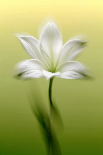 Ethereal Kinetic Minimalism style reference image — shutter drag