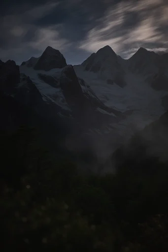 Moody Nocturnal Elegance style reference image — low-key cinematic lighting