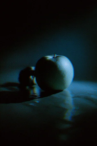 Luminal Noir Grain style reference image — heavy film grain