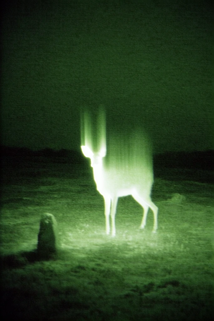 Eerie Luminescent Nocturne style AI image example 3