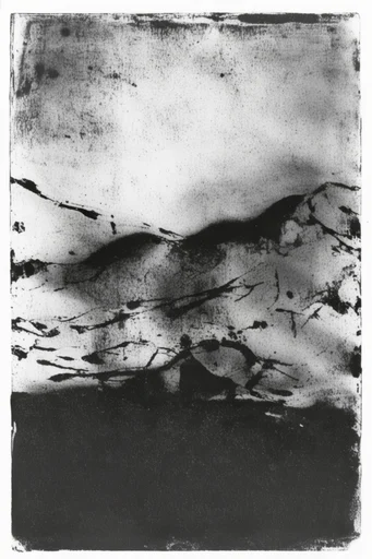 Gritty Monochromatic Noir style reference image — high-contrast lithograph