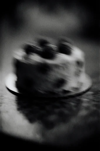 Cinematic Monochrome Noir style reference image — vintage silver gelatin aesthetic