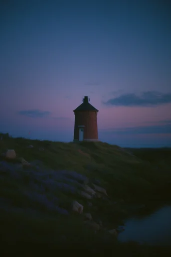 Nocturnal Twilight Melancholy style reference image — lo-fi aesthetic