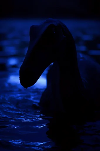 Cinematic Abyssal Noir style AI image example 3