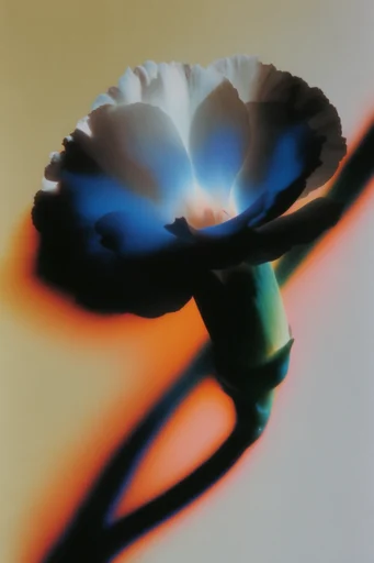 Spectral Thermal Noir style reference image — chiaroscuro contrast