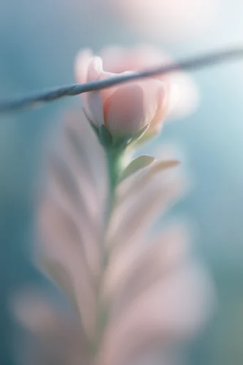 Luminous Ethereal Macro style AI image example 2