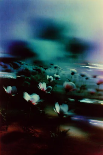 Spectral Nocturnal Motion style reference image — ethereal silhouettes