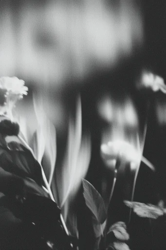 Kinetic Spectral Noir style reference image — liminal noir atmosphere