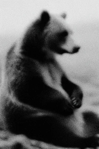 Ethereal Noir Grain style AI image example 3