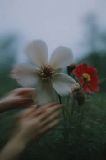 Cinematic Surreal Solitude style reference image — cinematic film grain